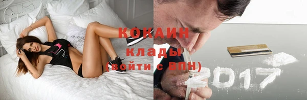 прущие грибы Краснотурьинск