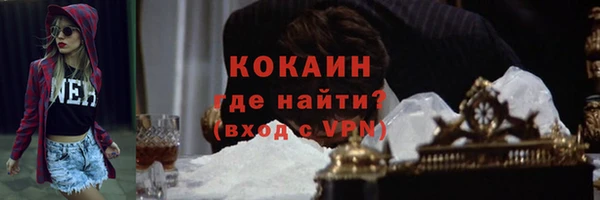 шишки Кукмор