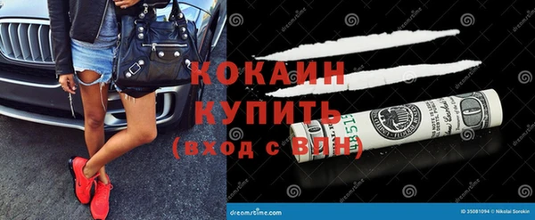 прущие грибы Краснотурьинск