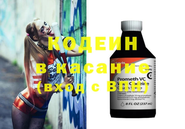 прущие грибы Краснотурьинск