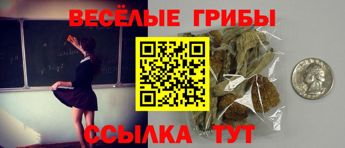 Мценск  Галлюциногенные грибы Magic Shrooms  Вход с VPN 